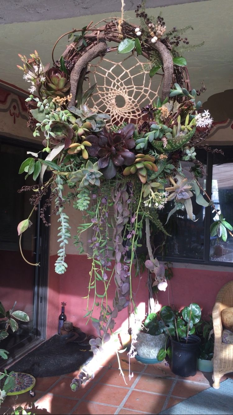 24”+ Live Succulent Dreamcatcher Arrangement