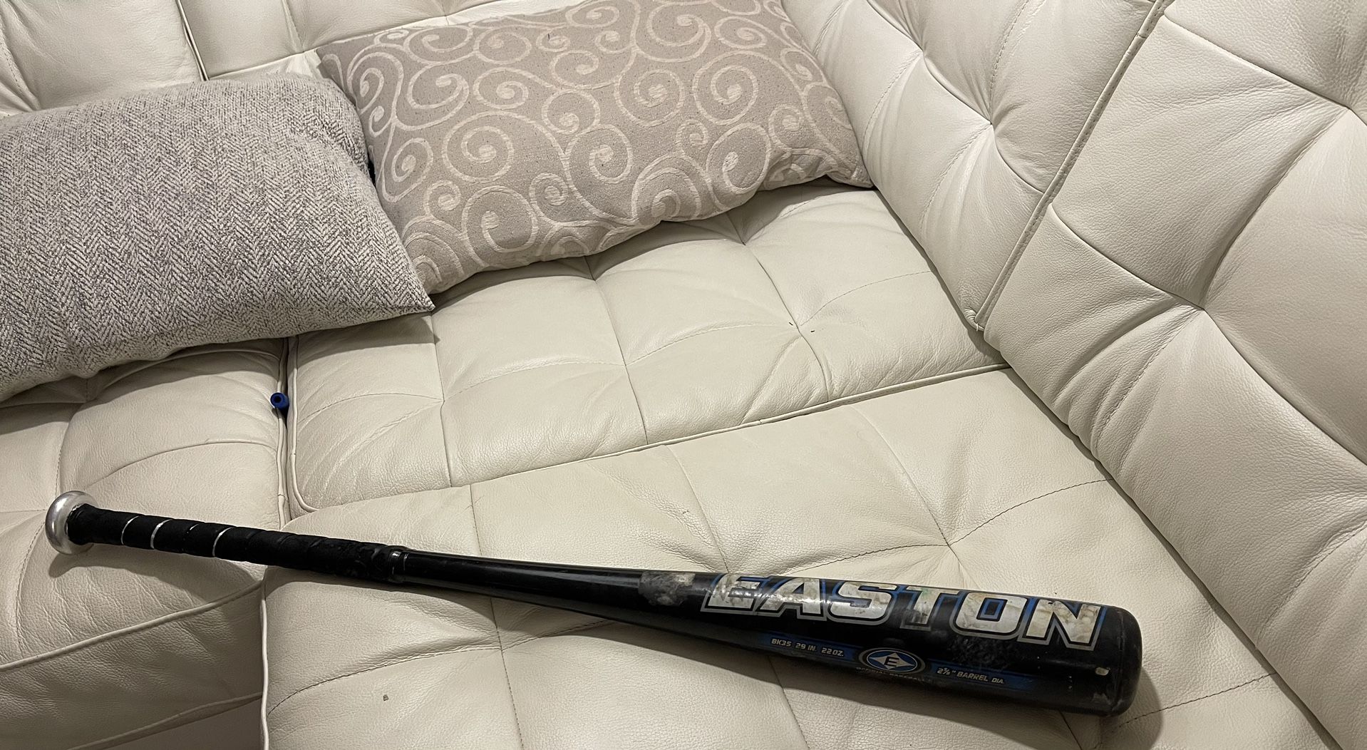 Easton Baseball Bat