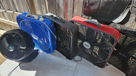 Fans $30