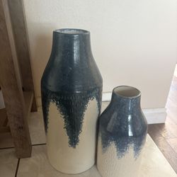 Two Blue And White Vases