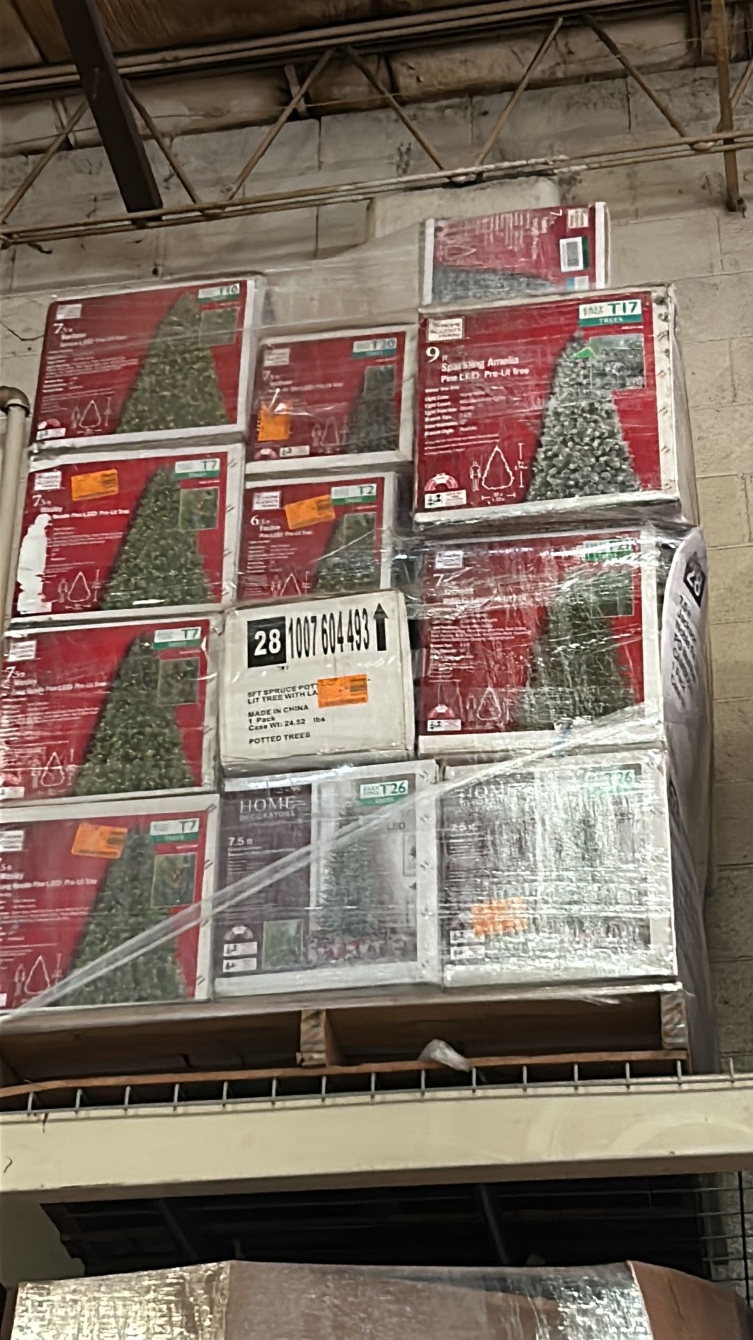 Christmas Pallets  Trees And Mix