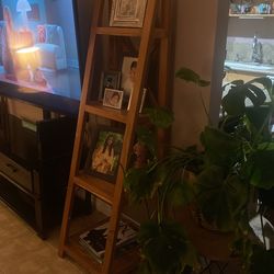 Slanted Wooden Shelf 