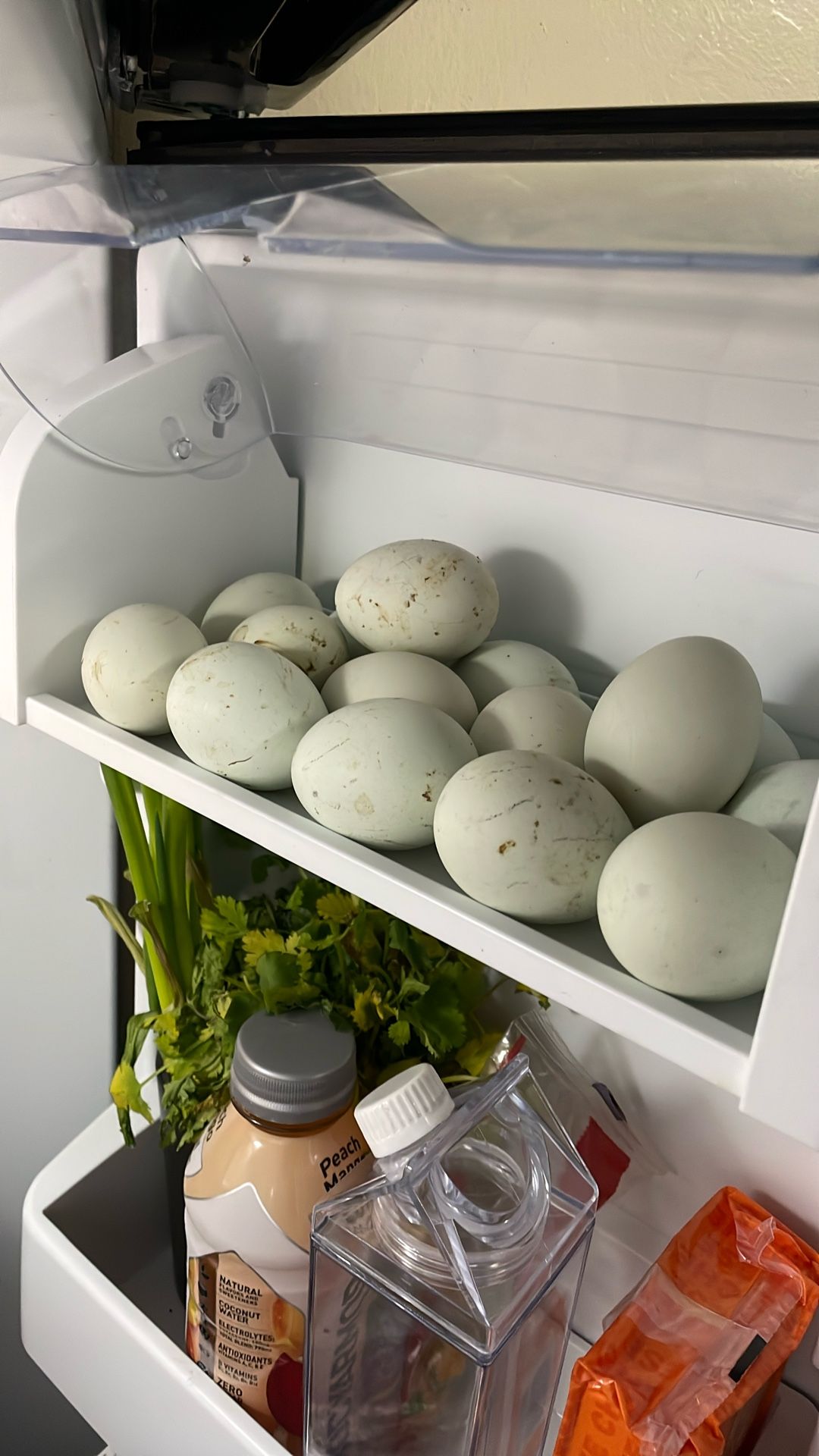 Chicken Eggs