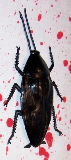 Set of 12 Realistic Fake Cockroach Prank Toy