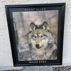 Framed Wild Eyes Print  17.5 X 21.5