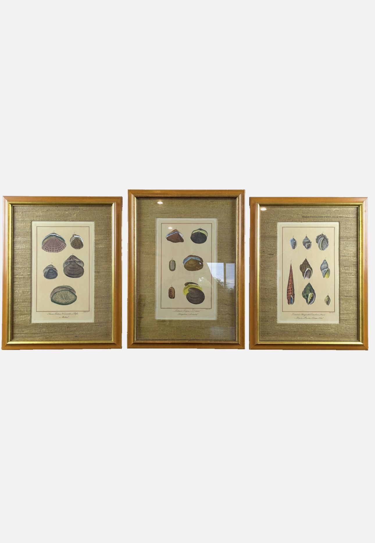 W. King Ambler Old Prints and Maps
