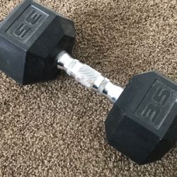 35 Pound Dumbbell 