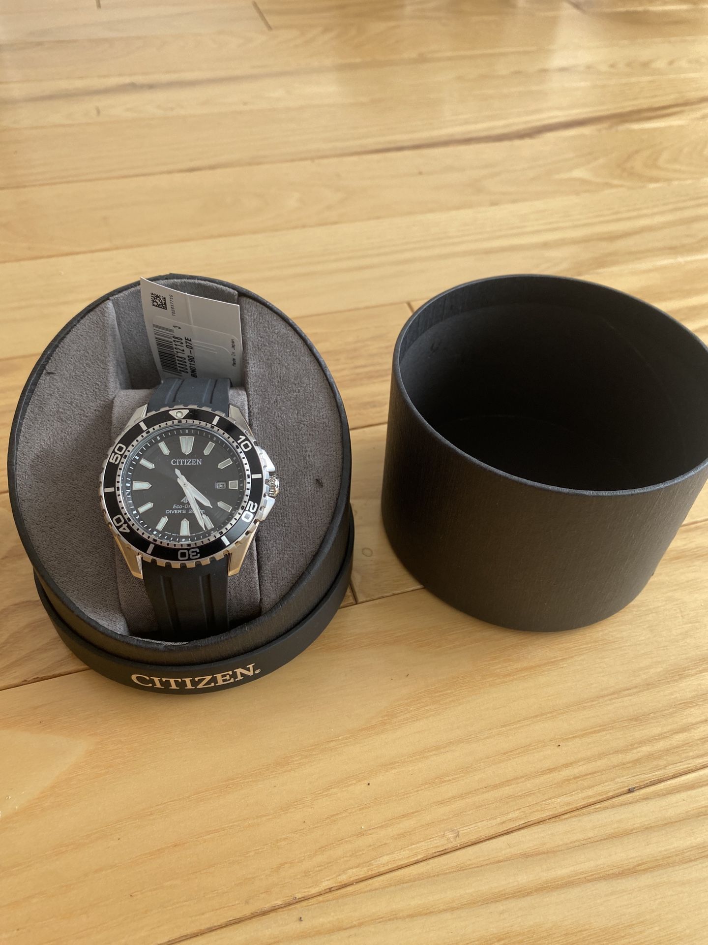 Citizen Promaster Dive Watch NEW