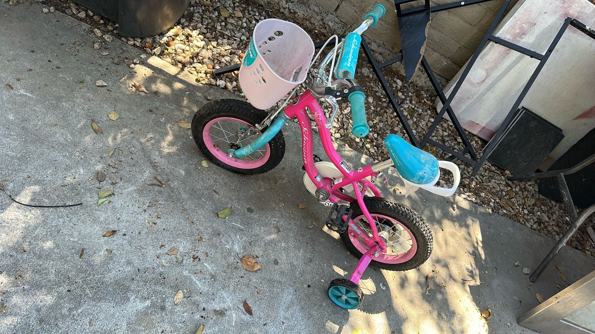 Small Girl Bike 