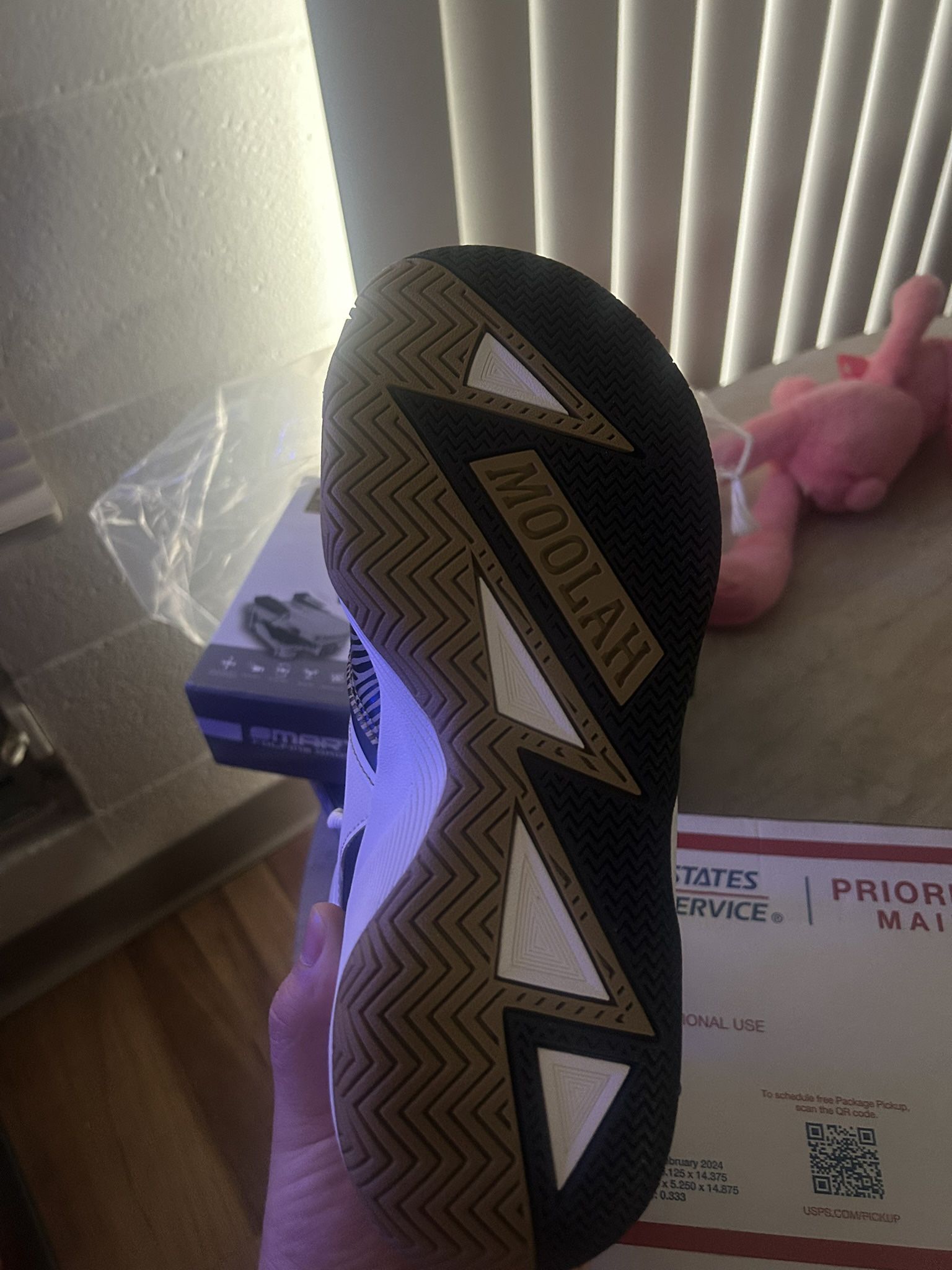 Moolah Basketball Shoes