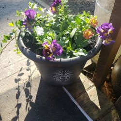 Beautiful Flower Pots