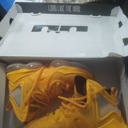 Lebron XIX Worn Once 