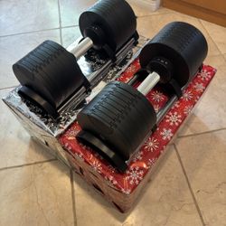 80Ib Adjustable Dumbbells | Gym Equipment