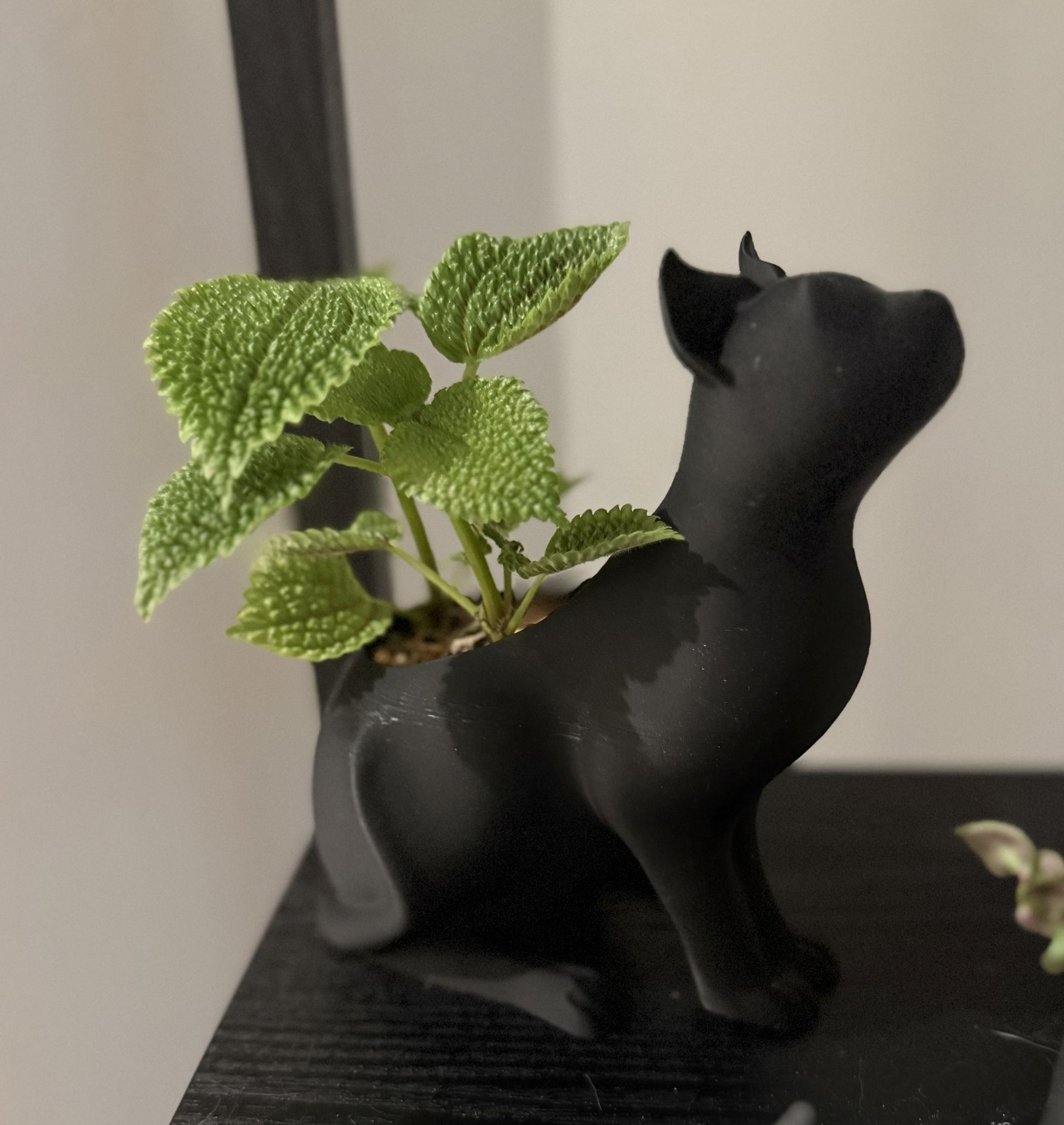 Real Plants Included 