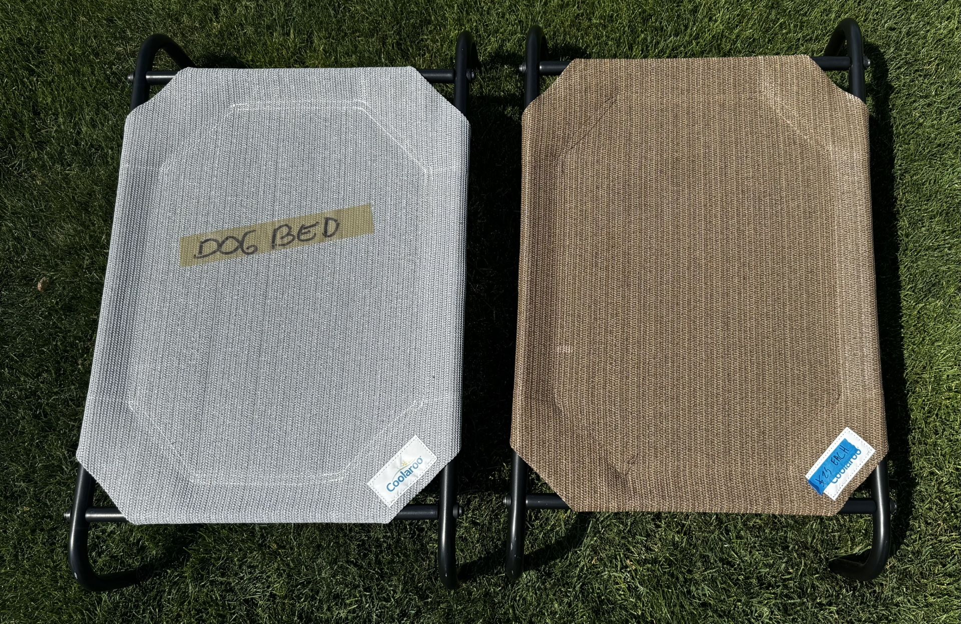 Dog Beds