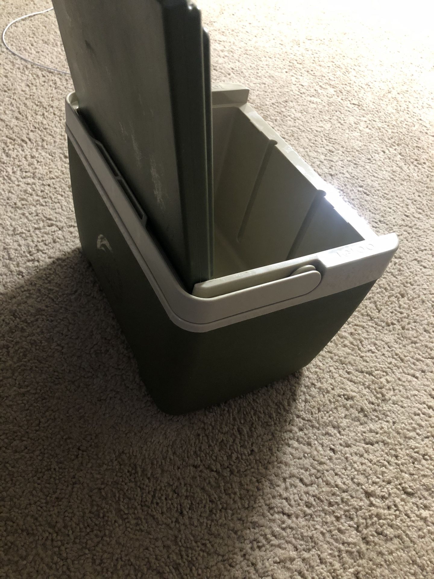 Igloo Cooler 