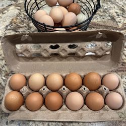 Organic Eggs From My Free Range Chickens