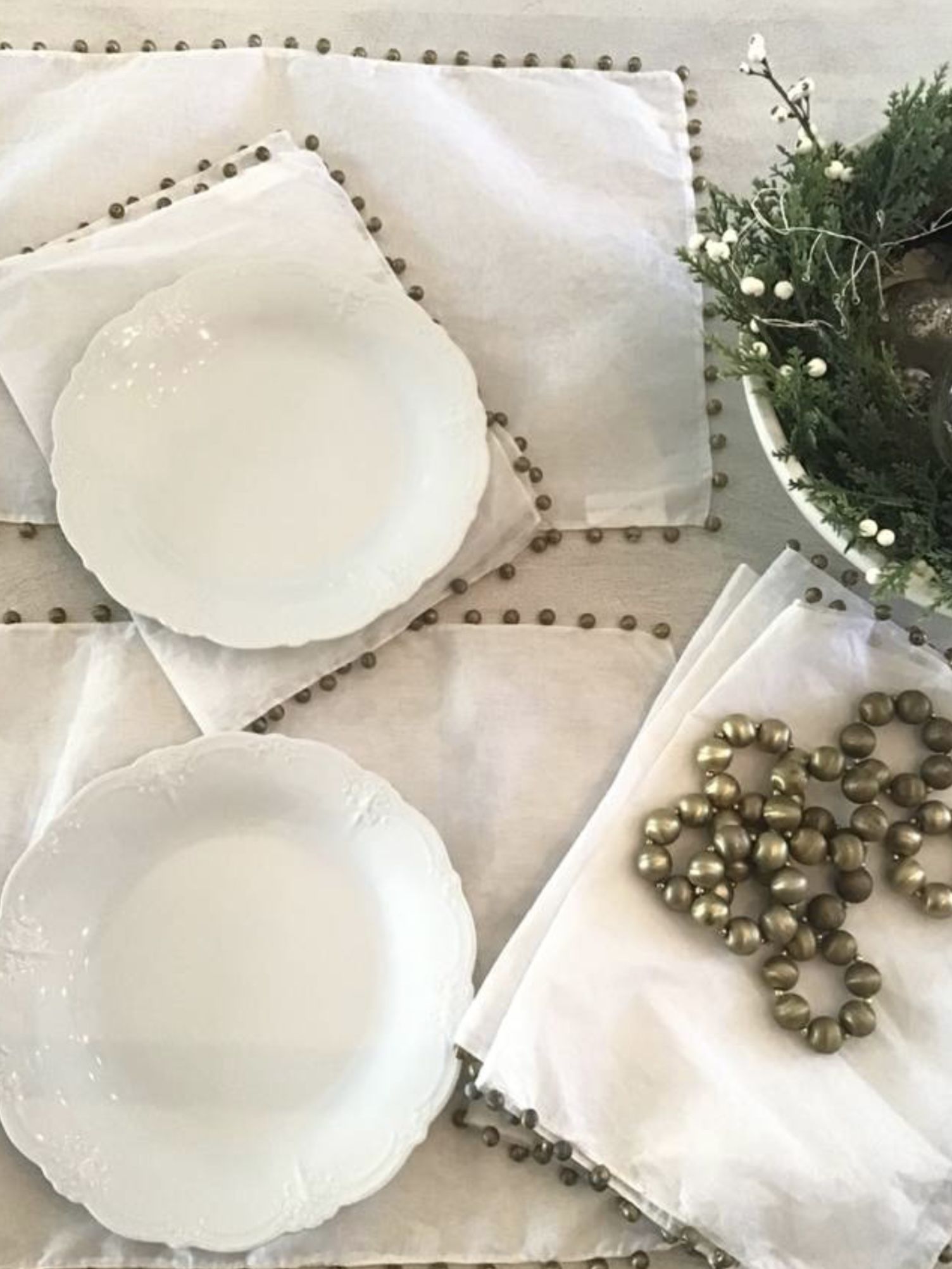 Pottery Barn Placemats And Napkin Rings 8