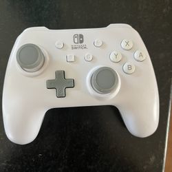 Nintendo Switch Controller