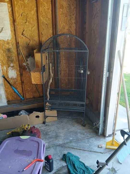 Bird Cage