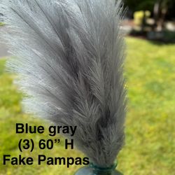 Pampas Grass - 3 Colors 