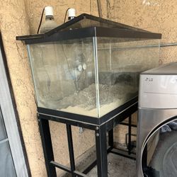 Fish Tank 60 Gallon With Stand 