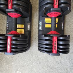 Adjustable Dumbbells