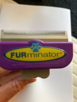 Furminator short hair deshedding tool for large cats.