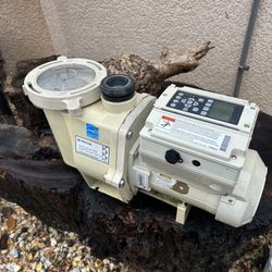 Pool Pump 3.5 Hp