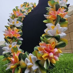 Graduation Lei