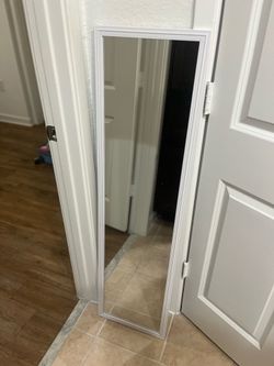Door mirror