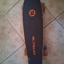 Blizzard Electric Skateboard 