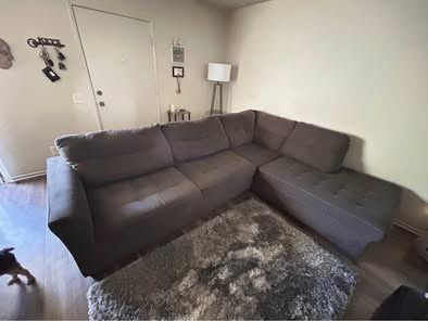 Grey Sectional Couch