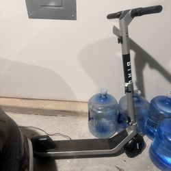 BIRD ELECTRIC SCOOTER.  OBO