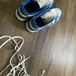 Nike Dunk Low Blue Size 10 US