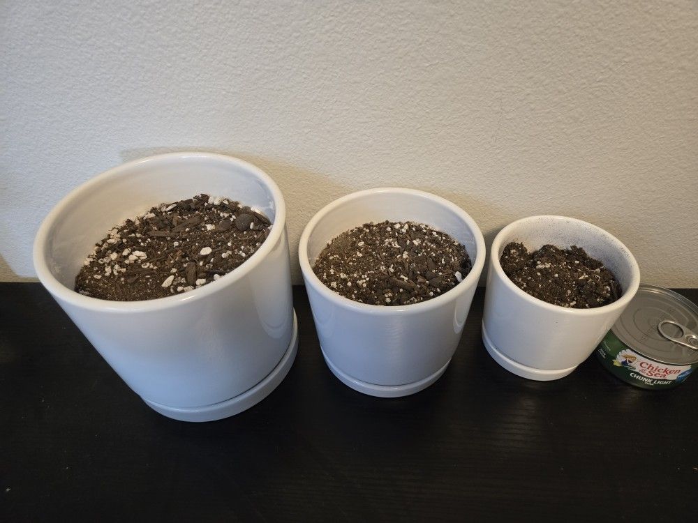 6 Flower Pots + Soil