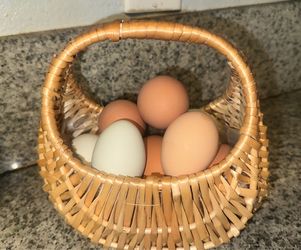 Fresh egg-$6 dozen