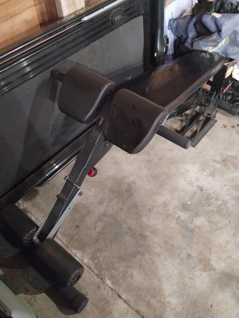 Fitness Reality Bench $145 O.B.O