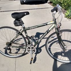 Giant Cypress, Just Tuned Up