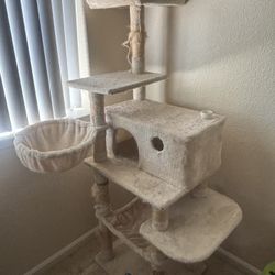 Cat Tree 