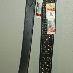 26 Inch Large Dog Black Leather Studded Collar With Matching 6 Ft Leash