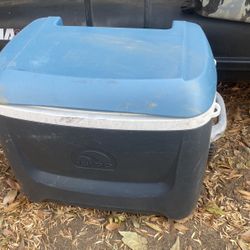 Cooler