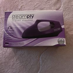 Travel Size Steamer