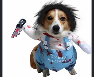 Dog costume large
