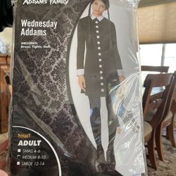 Wednesday Halloween Costume 
