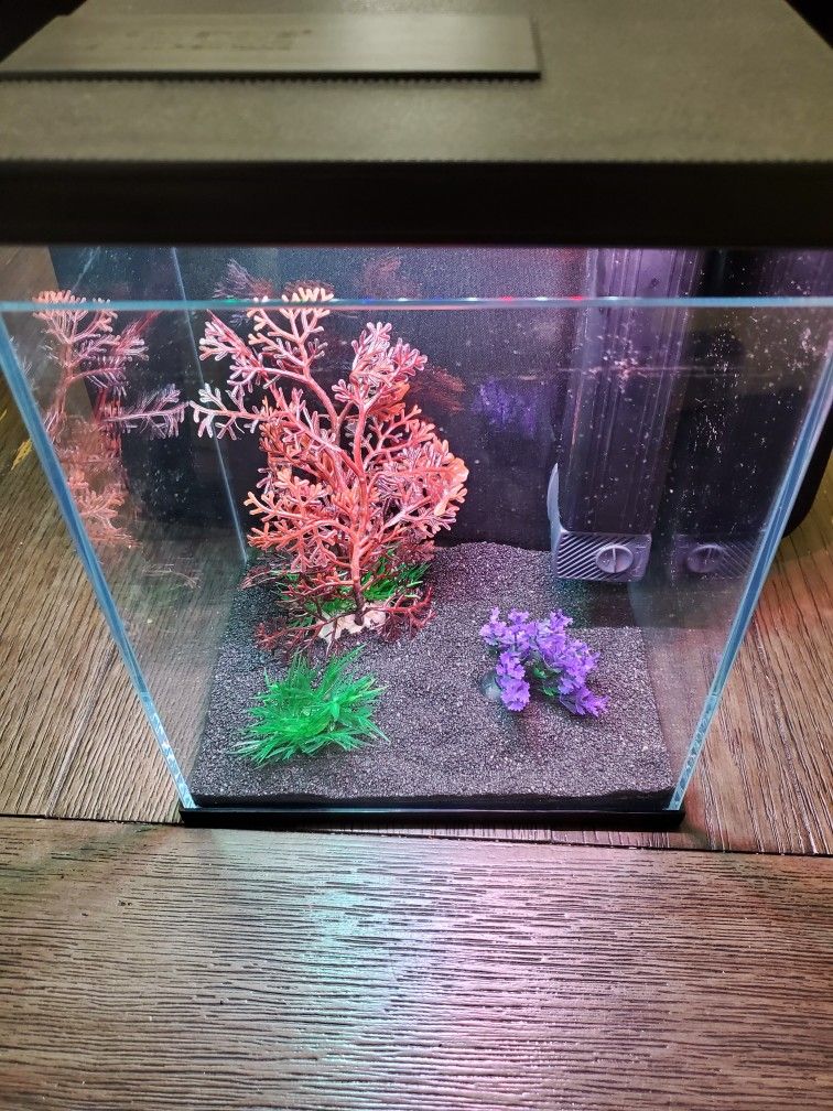 Glass Micro Aquarium