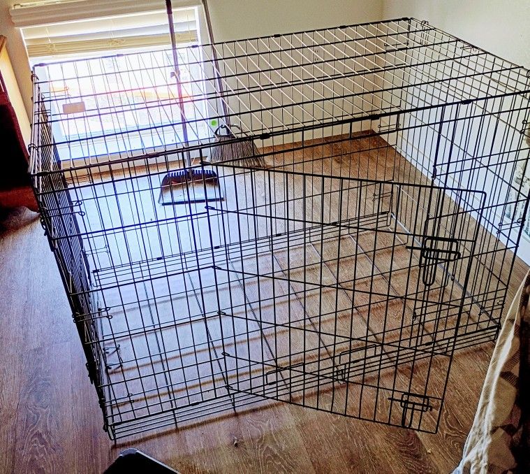 Dog Items For Sale