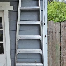 Werner 10' ladder