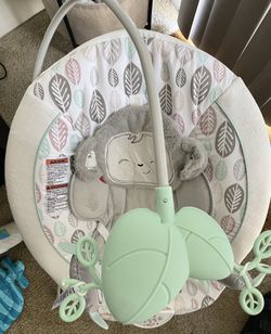 Fisher Price Deluxe Baby Bouncer