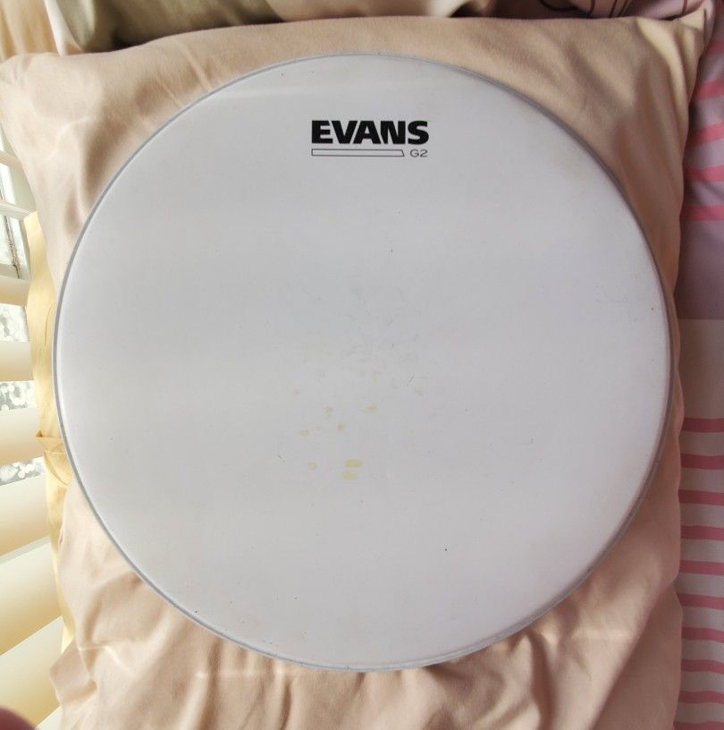 Drum Head 13